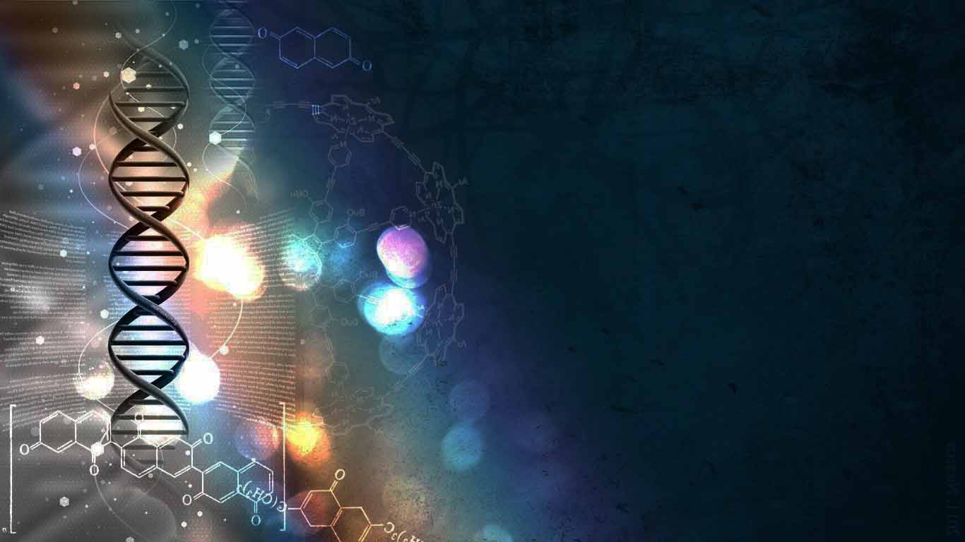 Kudo3D Micro Background